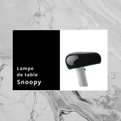 SiteWeb_76_Blog_Designer_Snoopy_0