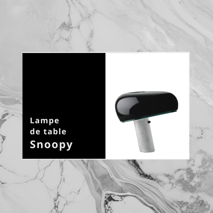 SiteWeb_76_Blog_Designer_Snoopy_0
