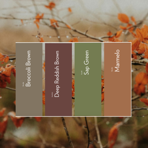 SiteWeb_77_Blog_couleurs_automne_0