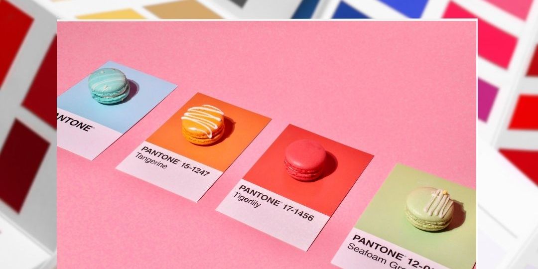 SiteWeb_81_Blog_deco_choisir_les_couleurs_0