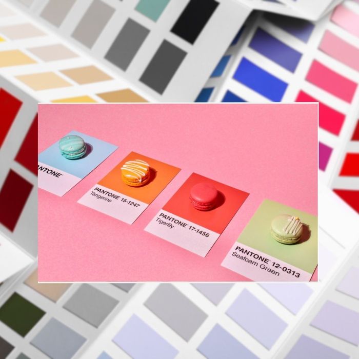 SiteWeb_81_Blog_deco_choisir_les_couleurs_0